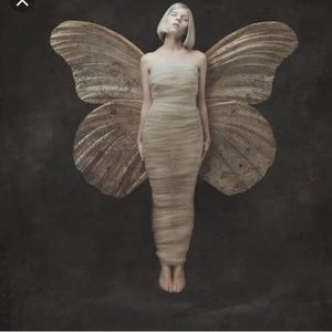 Meet your Posher, Destiny